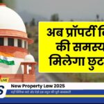 New Property Law 2025