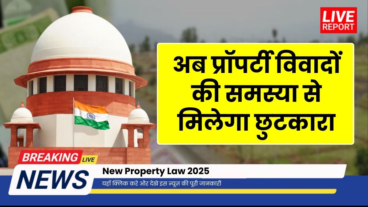 New Property Law 2025