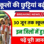 School Holiday Extended